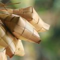 Hukum-Hukum Seputar Puasa Enam Hari Syawal