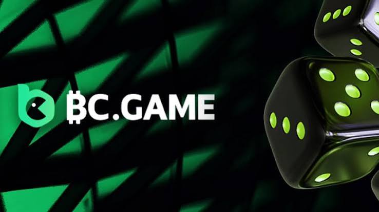 Understanding the BC.Game Login Process -261805557
